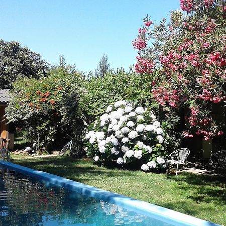 Puerta Del Sol Molina B&B Zewnętrze zdjęcie