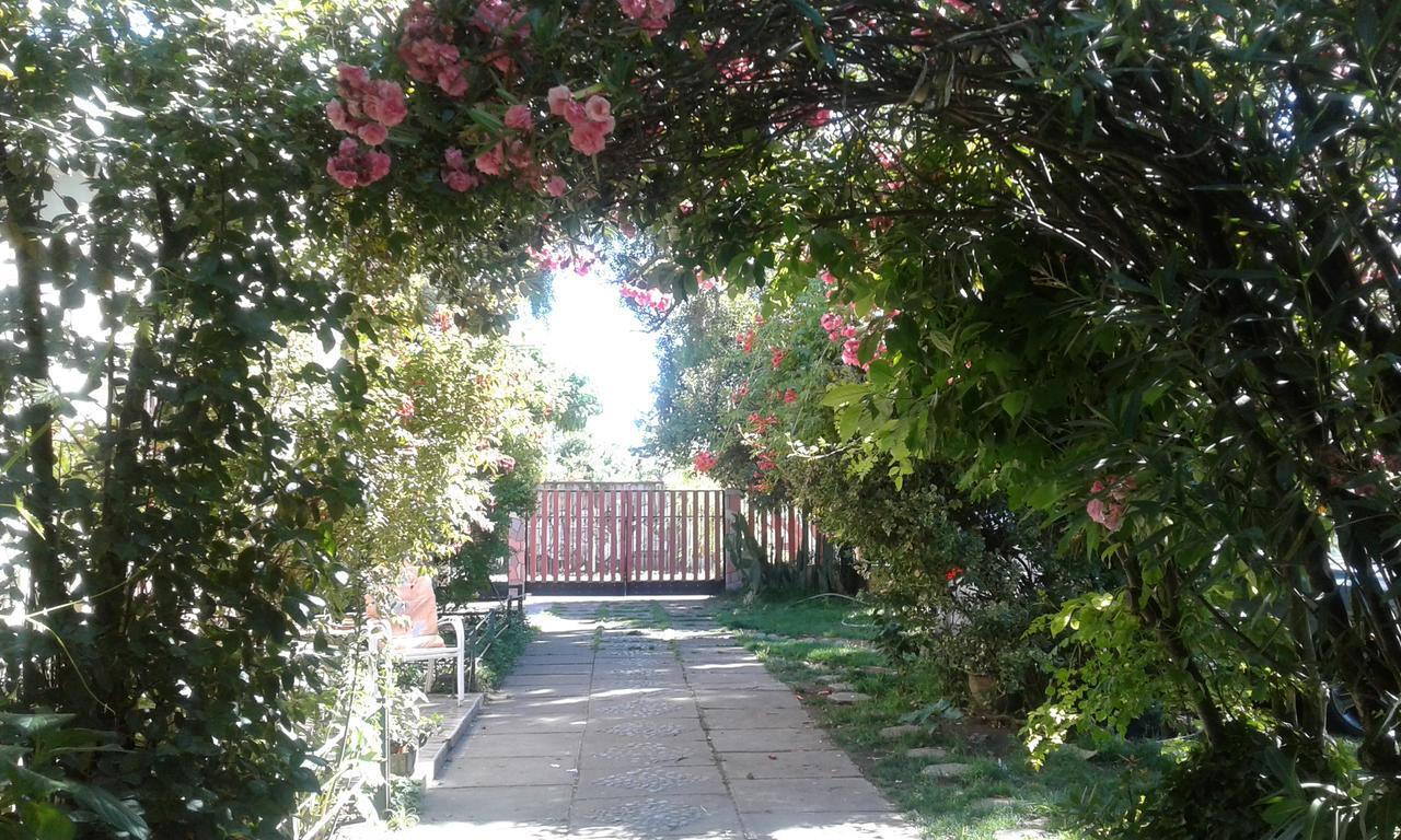 Puerta Del Sol Molina B&B Zewnętrze zdjęcie