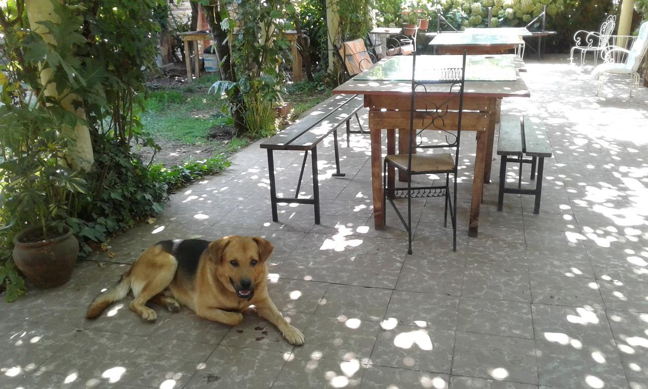 Puerta Del Sol Molina B&B Zewnętrze zdjęcie